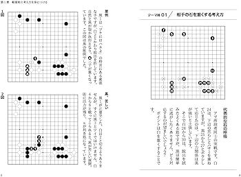 囲碁・大局観集中講義 重い石と軽い石の捉え方 (囲碁人ブックス